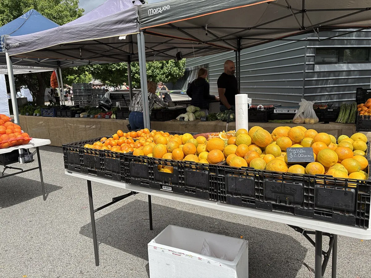 Sinaasappels en mandarijnen uitgestald in kratten op een openluchtmarkt.