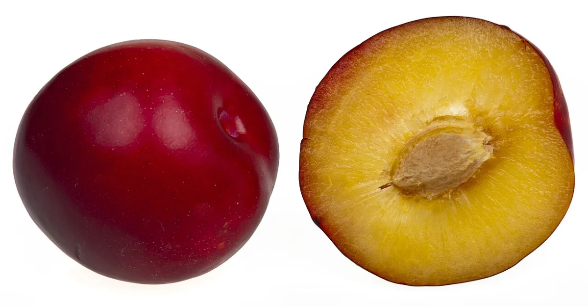 Een hele rode pruim naast een doorgesneden pruim met zichtbare pit en geel vruchtvlees.