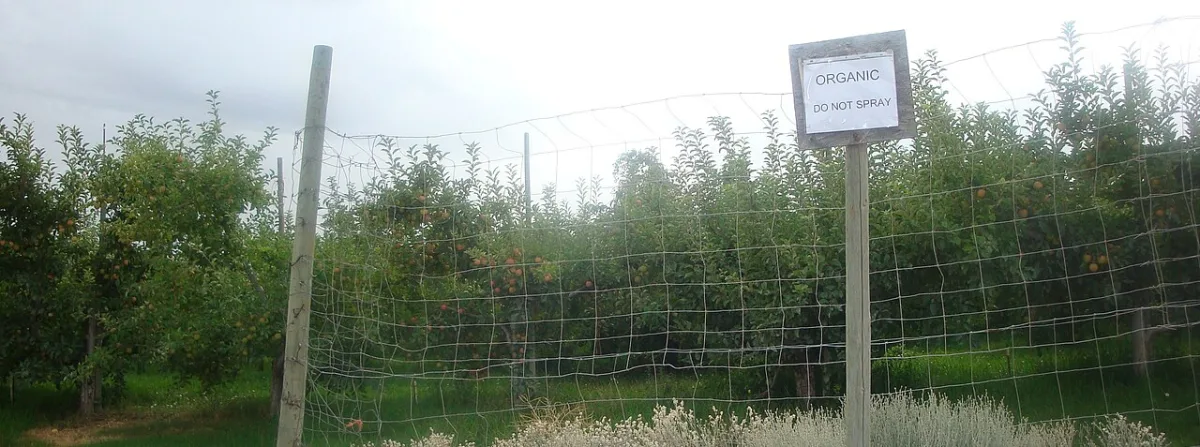 Appelboomgaard met een bord 'Organic, do not spray' tussen de fruitbomen.