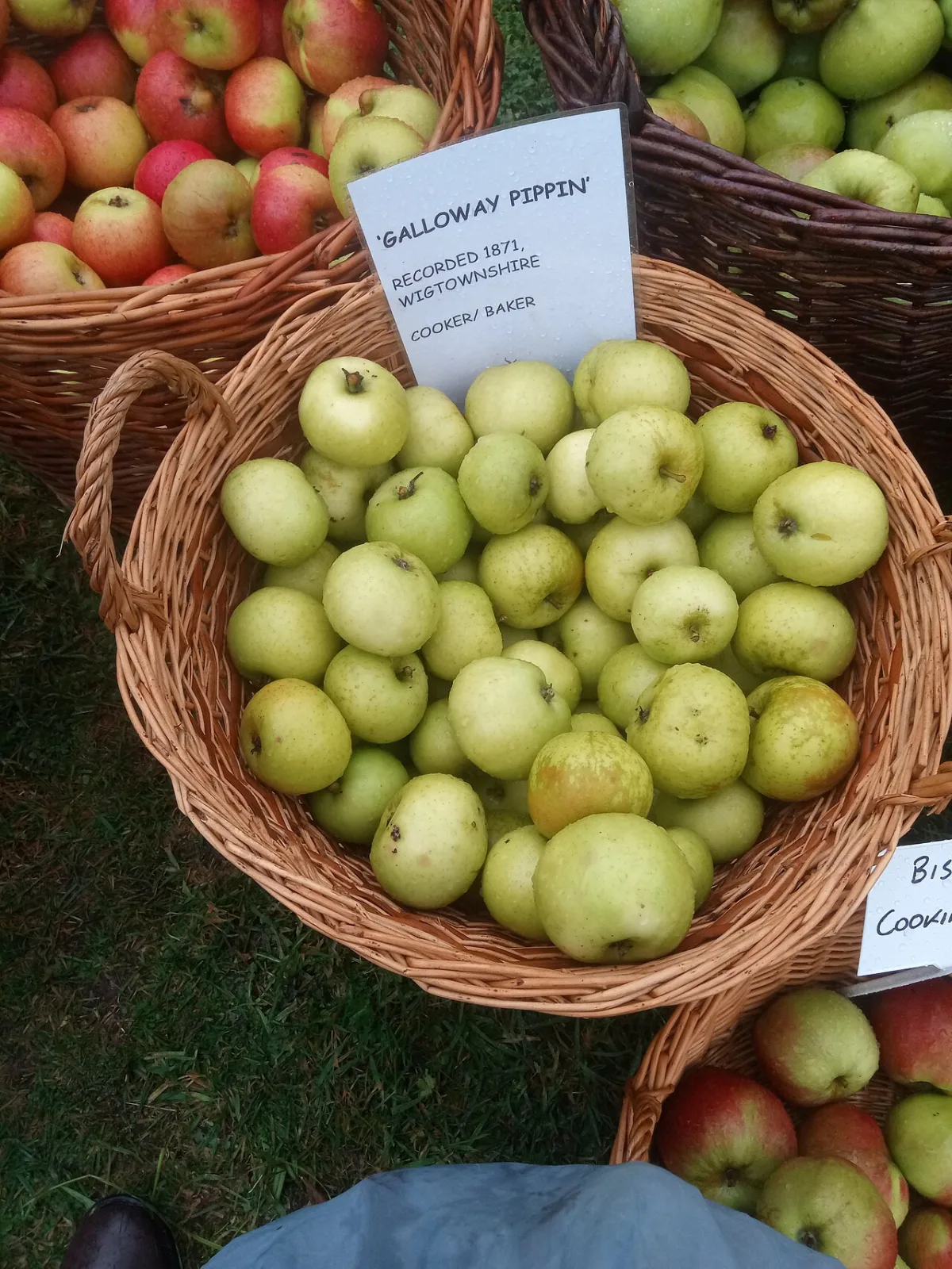 Manden met verschillende appelrassen op een fruitmarkt, met groene en rode appels.